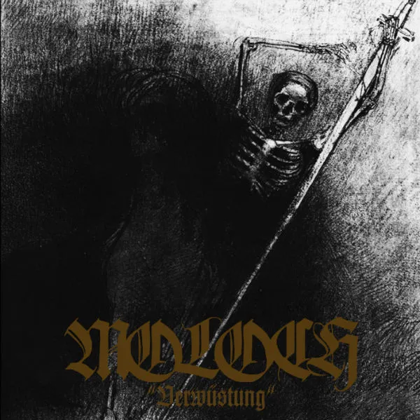 Cover Verwüstung