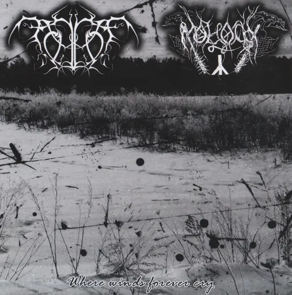 Cover Where Winds Forever Cry