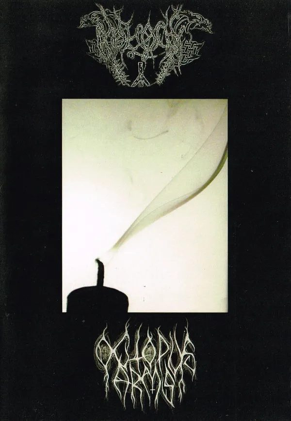 Cover Zersetzung des Lichts
