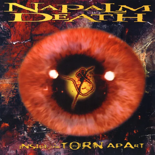 Cover Inside the Torn Apart