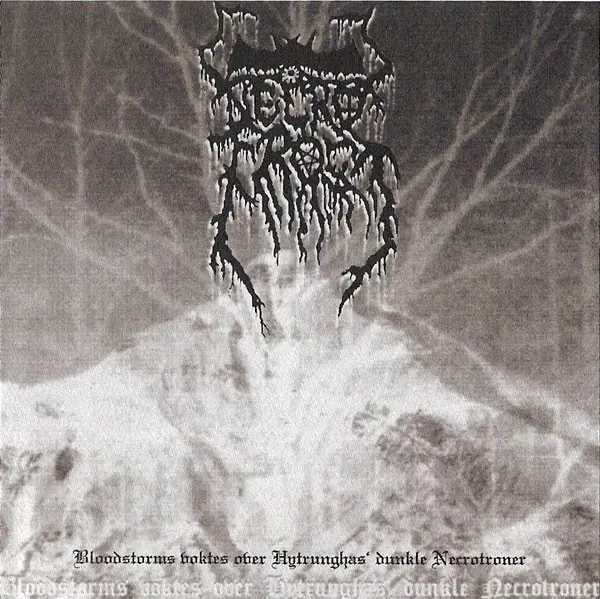 Cover Bloodstorms voktes over Hytrungas' dunkle Necrotroner
