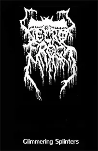Cover Glimmering Splinters