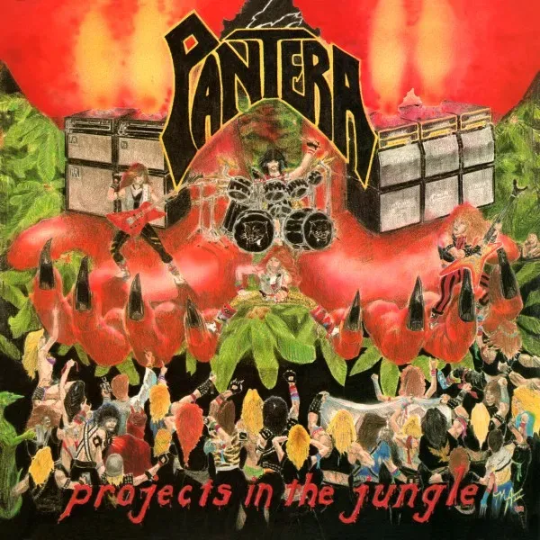 Cover Projects In The Jungle