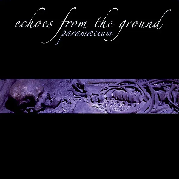 Cover Echoes From The Ground