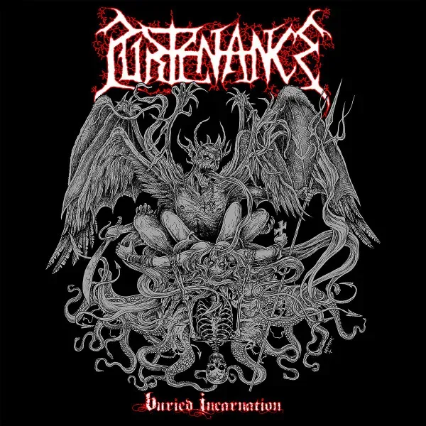 Cover Buried Incarnation