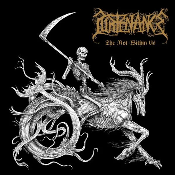 Cover The Rot Within Us