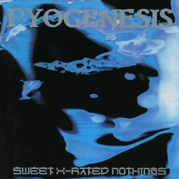 Cover Sweet X-Rated Nothings