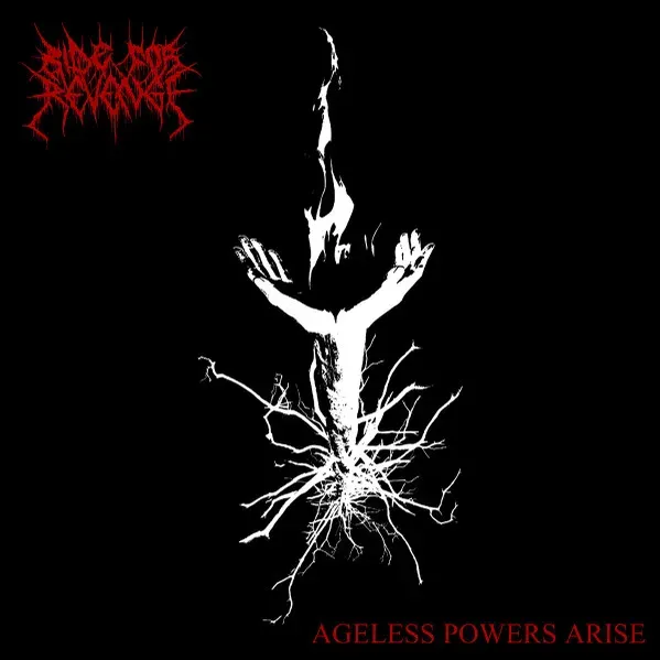 Cover Ageless Powers Arise