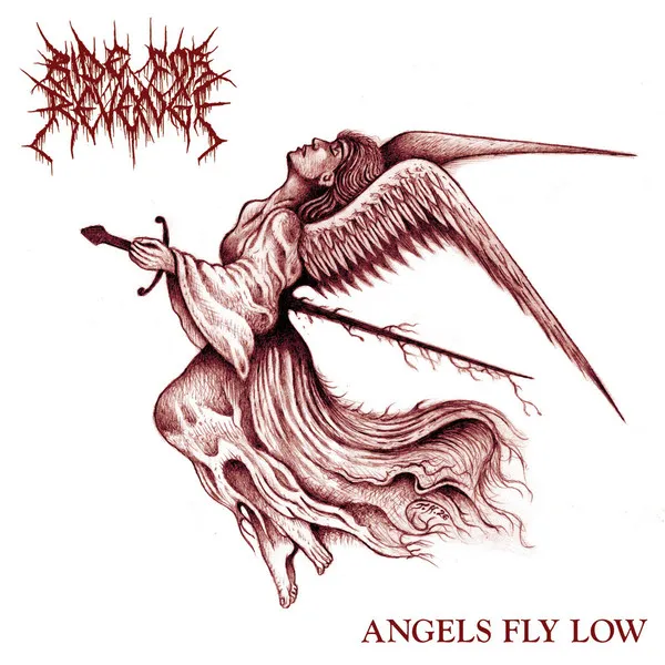 Cover Angels Fly Low