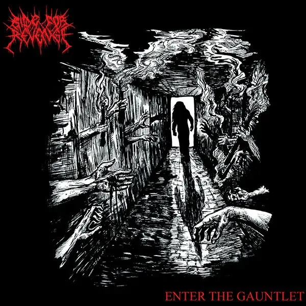 Cover Enter The Gauntlet