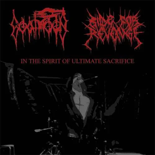 Cover In the Spirit of Ultimate Sacrifice