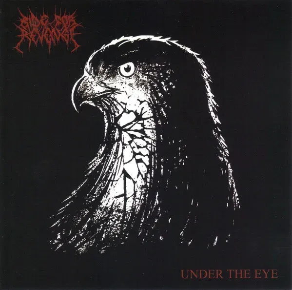 Cover Under The Eye