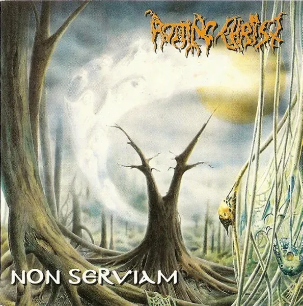 Cover Non Serviam