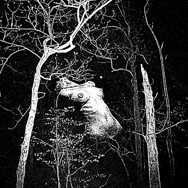 Cover Labyrinth of Nightmares