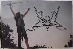 Cover Upon the Viking Stallion
