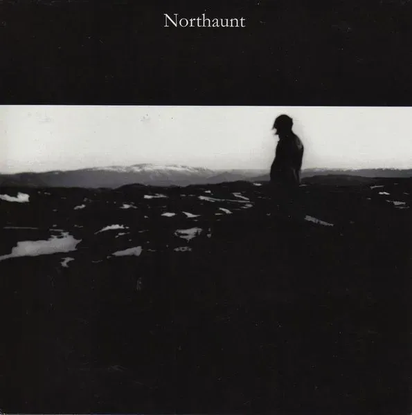 Cover Northaunt / Vinterriket