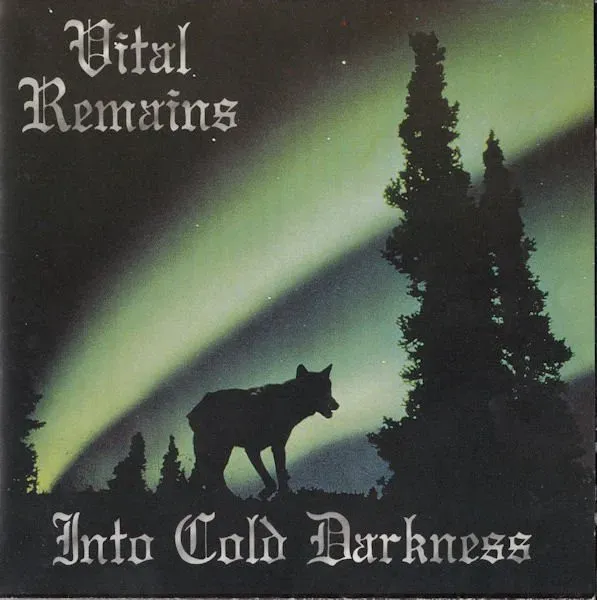Cover Into Cold Darkness