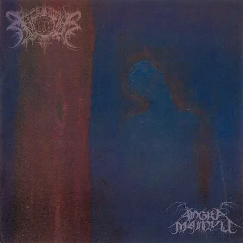 Cover A Sermon in the Name of Death