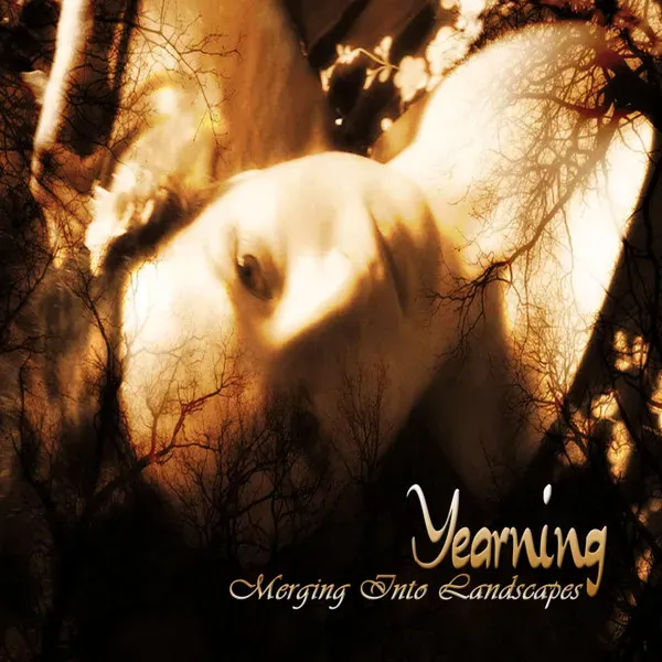 Cover Merging into Landscapes